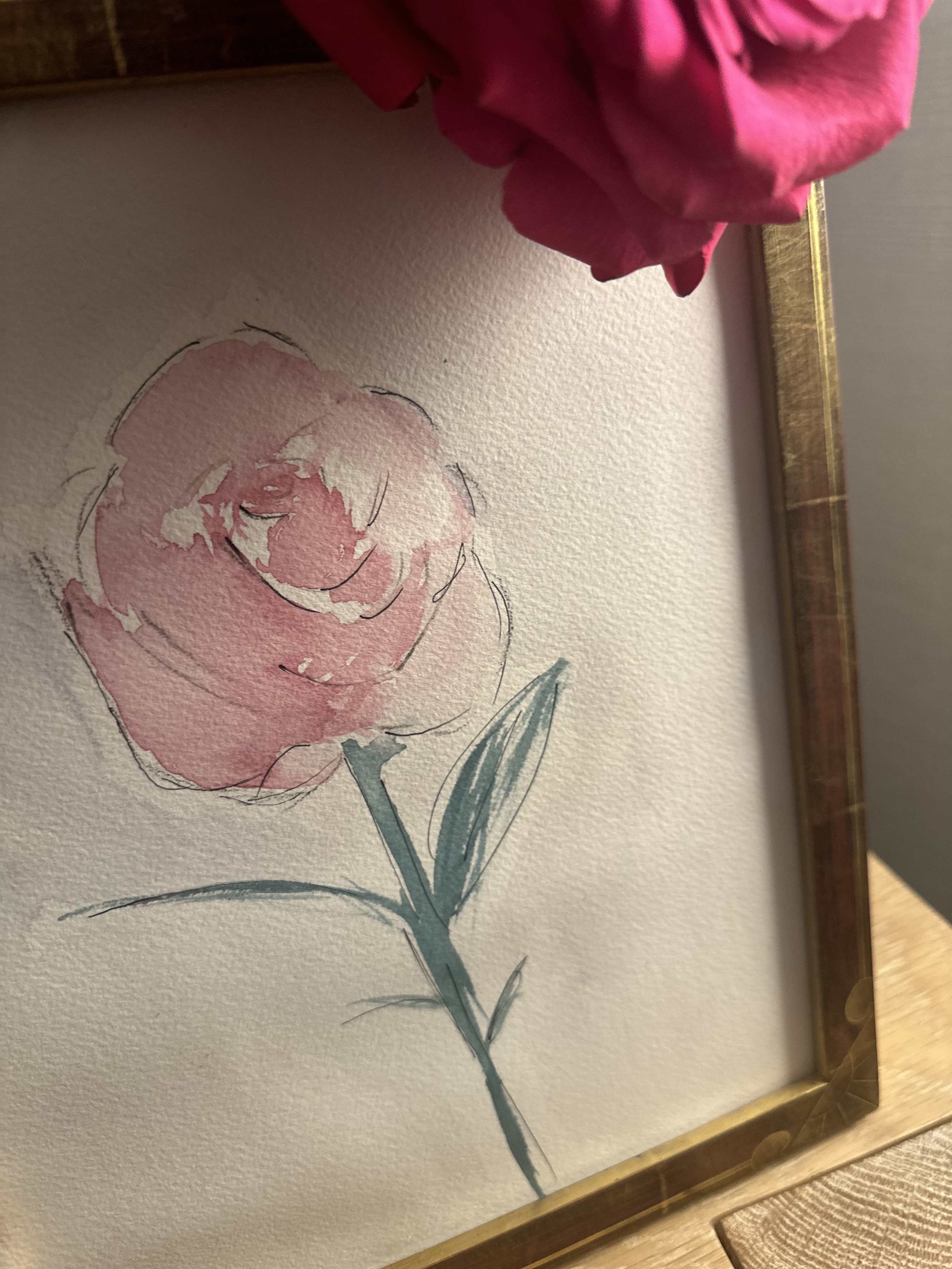 A watercolor painting by Paula of a single pink peony in a revived gold frame, a fresh pink rose resting at its top edge